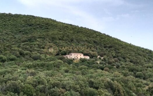 Stazzu gallurese Viddalba