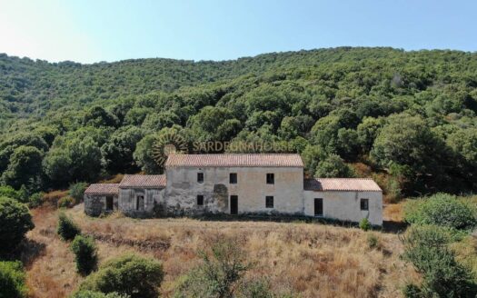Stazzu gallurese Viddalba