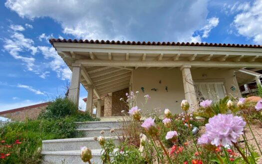 villa singola con terreno Trinità d’Agultu e Vignola